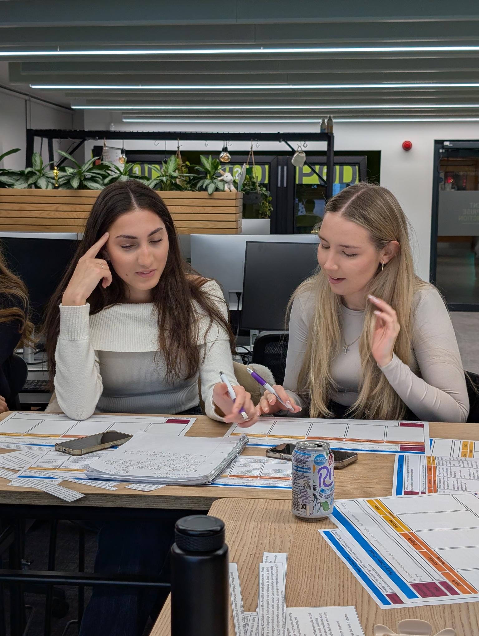 Theory of Change Workshop